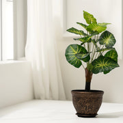 Variegated Beauty Artificial Plant -Artificial Plant|Indoor Plant|Decorative Plant|Artificial Greenery|Low-Maintenance Plants|Green DecoR|Nature-Inspired Decor | Artificial Plants Room Decor | Tropical Fake Plant in Pot